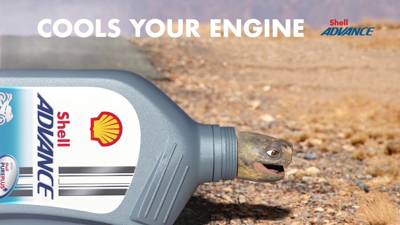 Shell Advance (English)