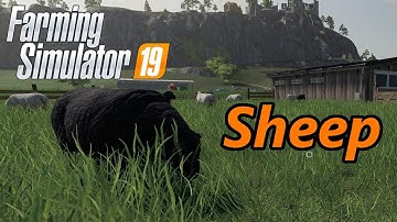 Farming Simulator 19 Tutorial | Sheep