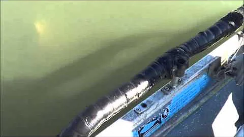 ANOTHER BIG OVERSIZE STURGEON.... 10- 31- 13