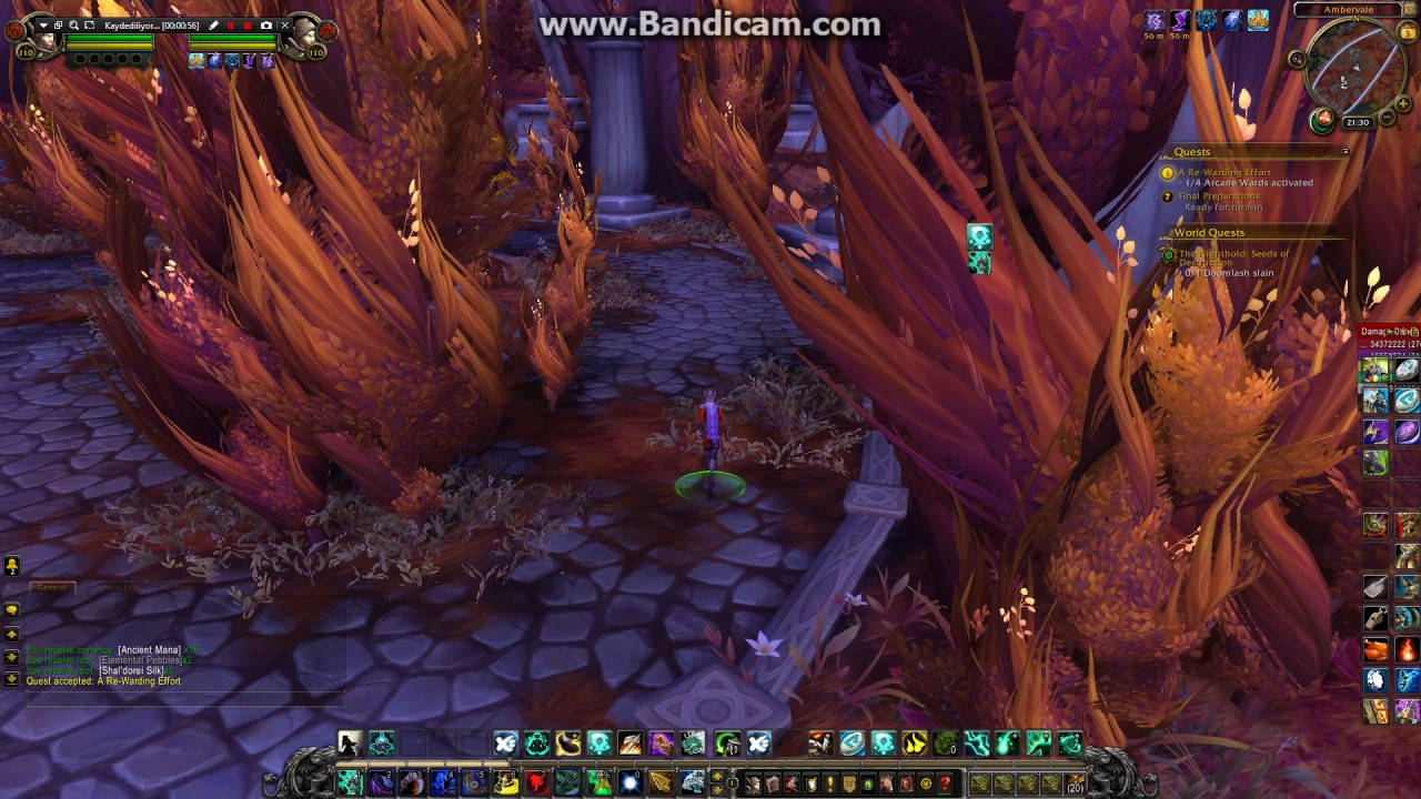 WoW A Re Warding Effort