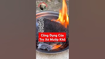 Bạn đã biết công dụng của Tro Xơ Mướp Khô chưa?