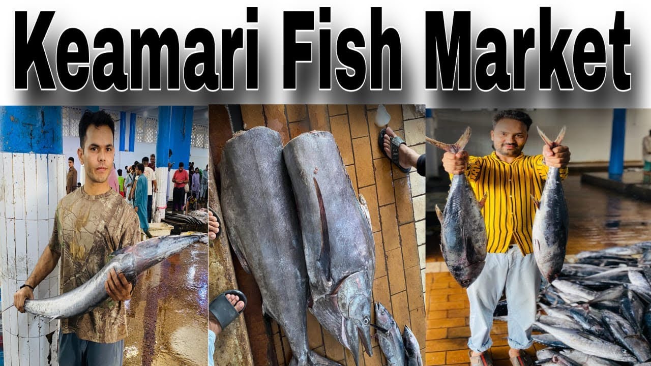 keamari Fish Market Karachi Fish Market Urdu/Hindi fishingvideo