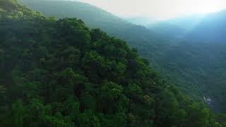 Nature view 