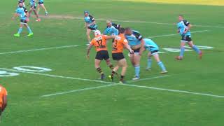 2017 2nd Grade Grand Final Polecats v Tigers Highlights