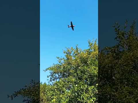 САМОЛЁТ ЛЕТИТ НАД ПЛЯЖЕМ ✈ провожаем бабье лето у речки на пляже🌞🌊пляж🎇красивая русская природа🌿парк