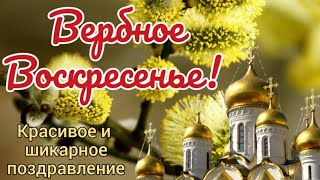 Вербное Воскресенье. Красивое Поздравление С Вербным Воскресеньем.