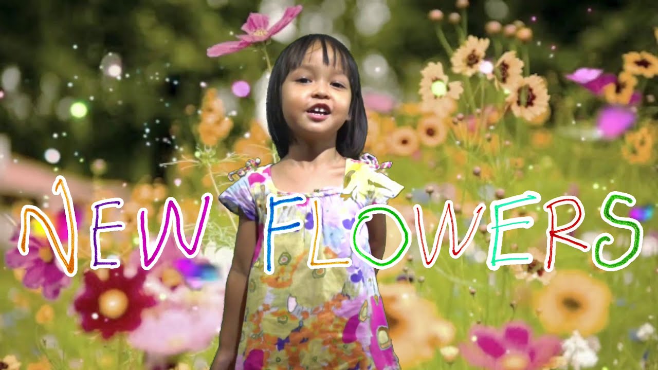 25 NEW FLOWERS | Hand-drawn NFTs on OpenSea | Mia Mai Art