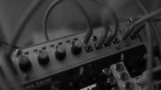 Intellijel Passive LPG 1U - Eurorack Module on ModularGrid
