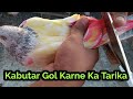 Parwazi Kabutar Gol Kar Diye || Kabutar Ke Par Gol Karne Ka Tarika || High Flyer Pigeon Gallery