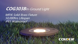 Landscape Tree LIghting | LED In-Ground Well Lights | LED Outdoor Low Voltage Pathway Lights