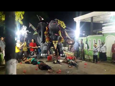 Atraksi Pasukan Gajah di Serang Burung Ababil\