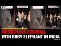 Messi Plays Football With Baby Elephant at Vantara India