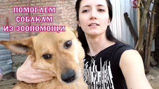 Проект MFH помогает купить корм для приюта-передержки Зоопомощь! The Alice Twins #44 Проект MFH помогает купить корм для приюта-передержки Зоопомощь! The Alice Twins #44