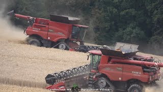 Case - John Deere / Getreideernte - Grain Harvest 2021