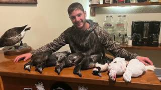 Best  Seaduck hunting trips Cold Bay Alaska.