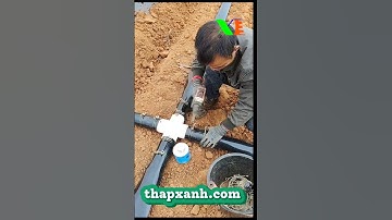 Lắp đặt hệ thống tưới - cũng cấp vật tư - chia sẻ kỹ thuật #thapxanh #hethongtuoi