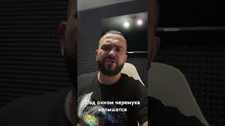 Под окном черемуха колышется… #музыка #топ #music #automobile #rap #опер #lyrics #лайк