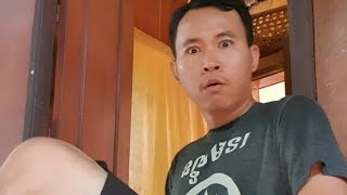 Top Funny Video Compilation