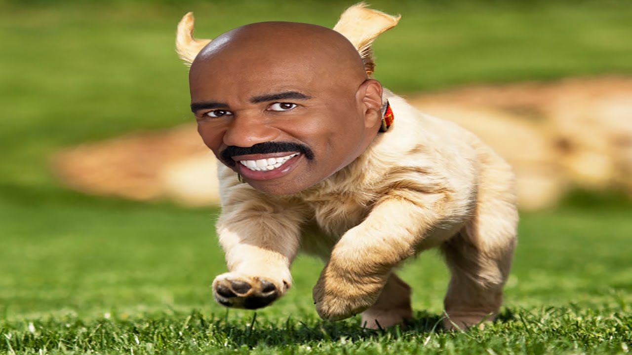 Steve Harvey The Dogg - YouTube