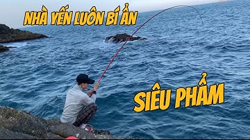 Câu Cá Biển Tự Nhiên, Quay Lại Điểm Vip Quen Thuộc, Cá Dò, Cá Dìa, Cái Tà Ma, Cá Mó. TÝ FISHING