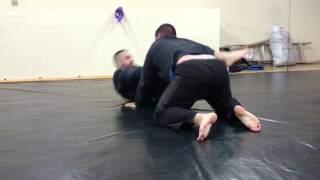 20150716 Gösser Jiu-jitsu(9)