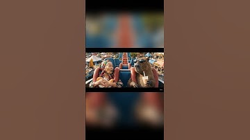 Capybara và bà - Capy chơi tàu lượn siêu tốc độ