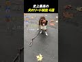 史上最高の犬のリード解放 4選_TOP4
