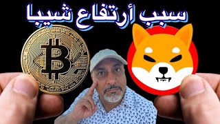 عاجل ‼ سبب أرتفاع شيبا || عملات ميمية للمضاربة.