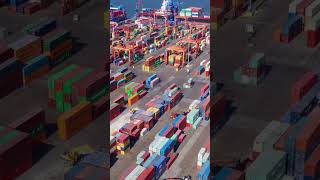 The Power of Transparency in Logistics | B-LOADED #shorts #shortvideo
