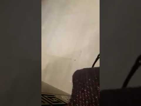 شوفو هد مسخوط امه