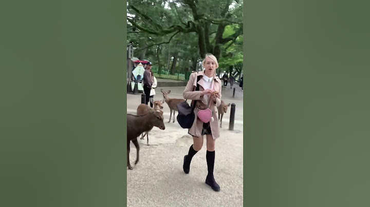 Every tourist visiting Japan for the first time