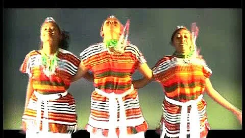 (Oromo Music) Amin Husen - Oromiyaa
