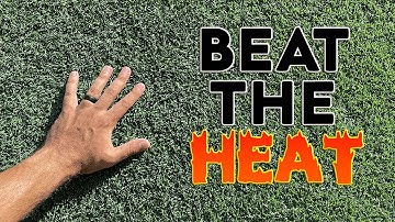 4 QUICK TIPS To Help Your Lawn CONQUER SUMMER HEAT STRESS