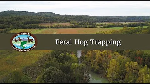 Conservation Incentive Program: Feral Hog Trapping