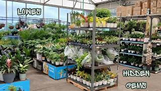 Wishlist Hunt at Lowes: Searching for Rare Gems in the Houseplant Section🌱