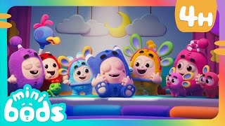Too Shy For Showtime | Minibods | Preschool Cartoons for Toddlers