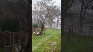 “Hailstorm vibes! ❄️⚡️ #Hailstorm #Nature’sSurprise #StormyWeather”