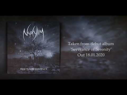 Nephylim - Fractured Existence (OFFICIAL TRACK)