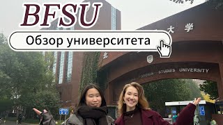 видео: УНИВЕРСИТЕТ BFSU| СТОИТ ЛИ ПОСТУПАТЬ В 2026 году? картинка: УНИВЕРСИТЕТ BFSU| СТОИТ ЛИ ПОСТУПАТЬ В 2026 году?
