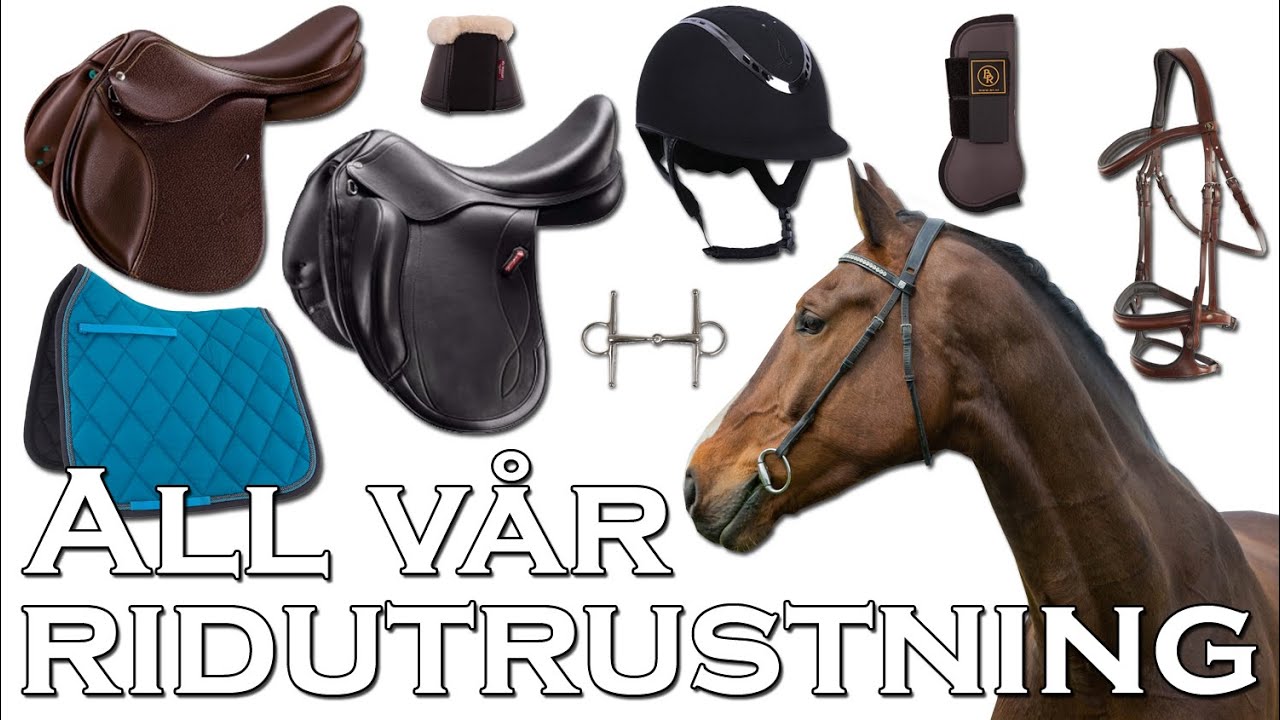 ALL VÅR RIDUTRUSTNING TILL OSS OCH VÅRA 4 HÄSTAR
