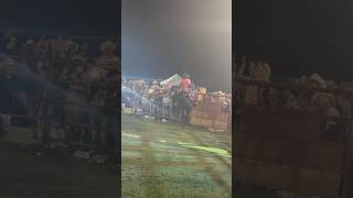 Lorenzo Juarez T Mickey Mouse R El Manantial