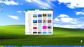 Switch between Windows 95, XP and Vista Themes