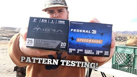 PATTERN TEST! NEW AMMO KING? MIGRA VS FEDERAL!