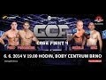 Jiří Procházka vs. Martin Šolc — GCF Fight Night 26