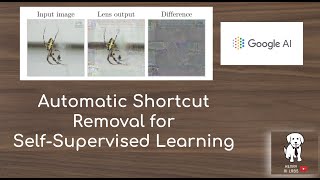 Automatic Shortcut Removal for Self-Supervised Learning screenshot 4