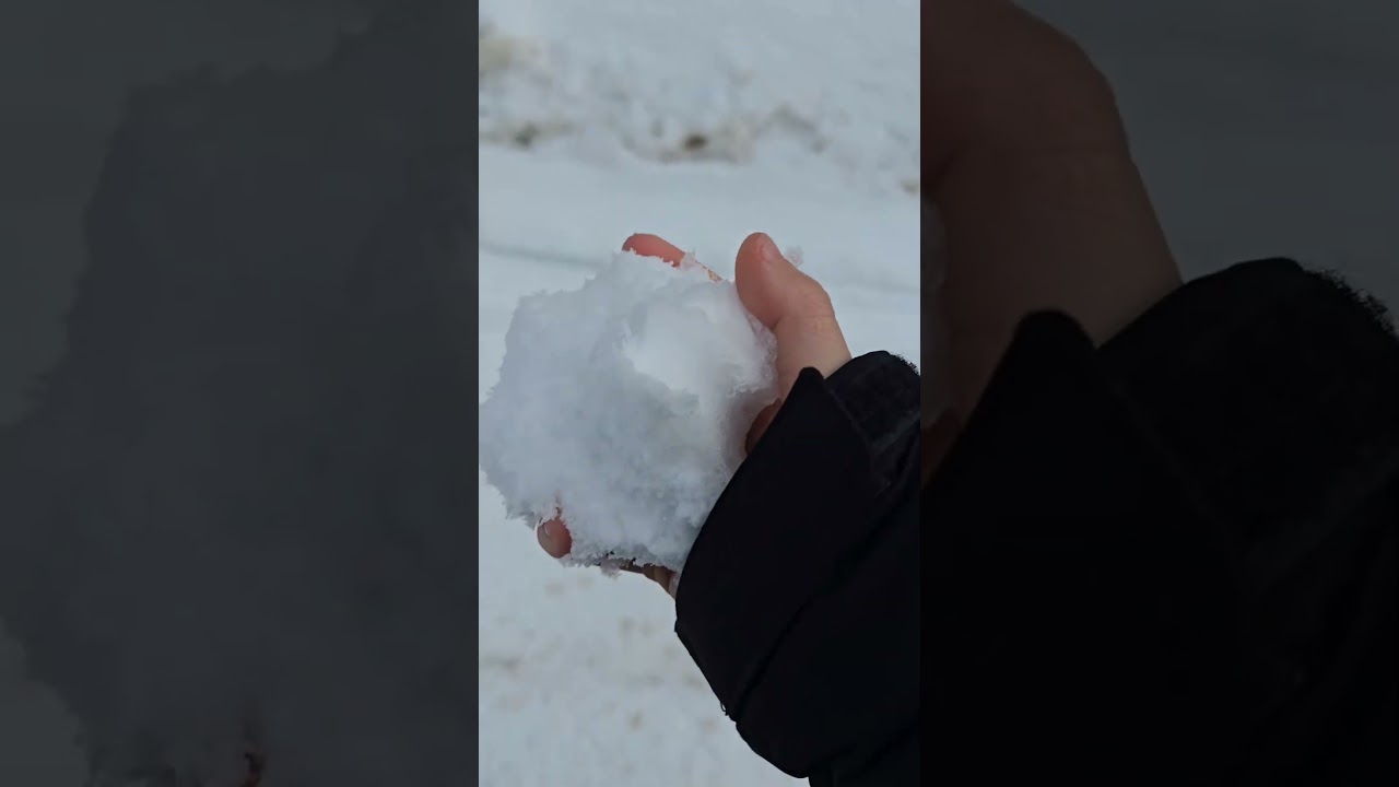 일본 오타루시에서..