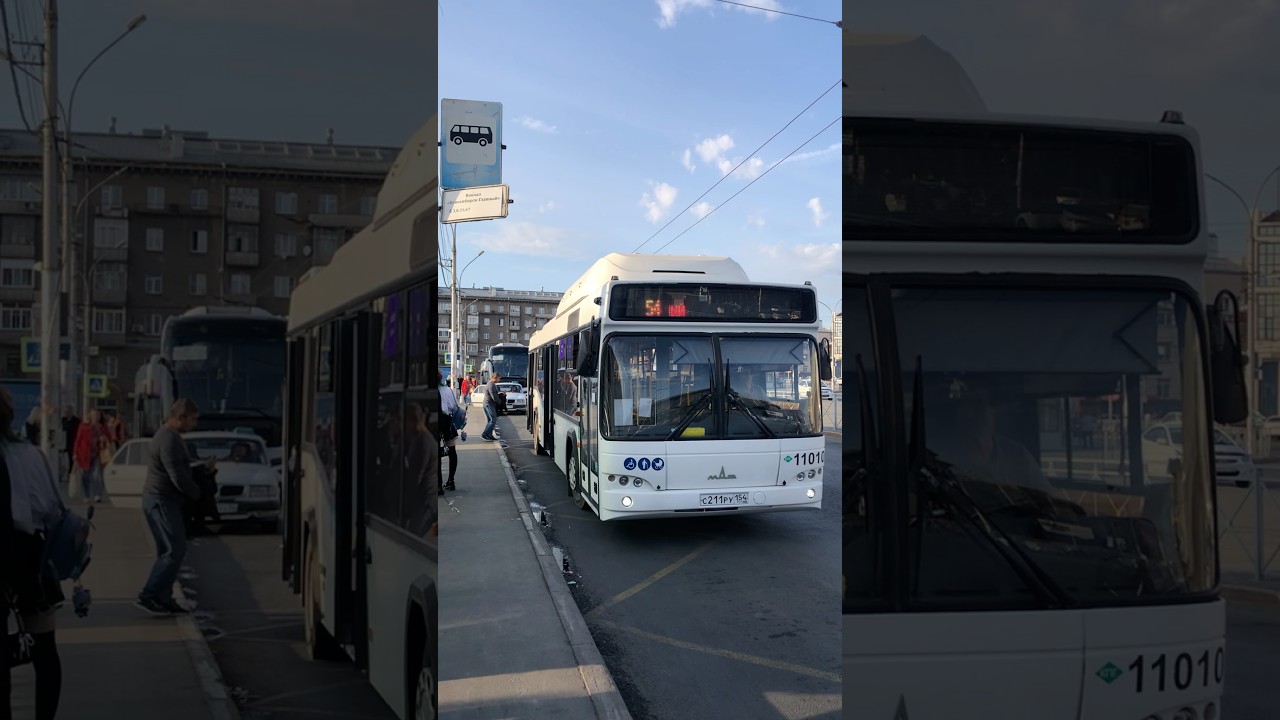 Новосибирск || МАЗ 103.965 || на маршруте 54 || Борт. номер (11010)