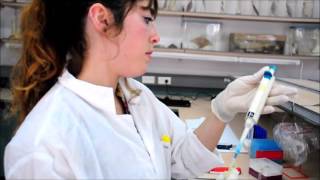 LabCast - Phosphate concentration in seawater Murphy Railey