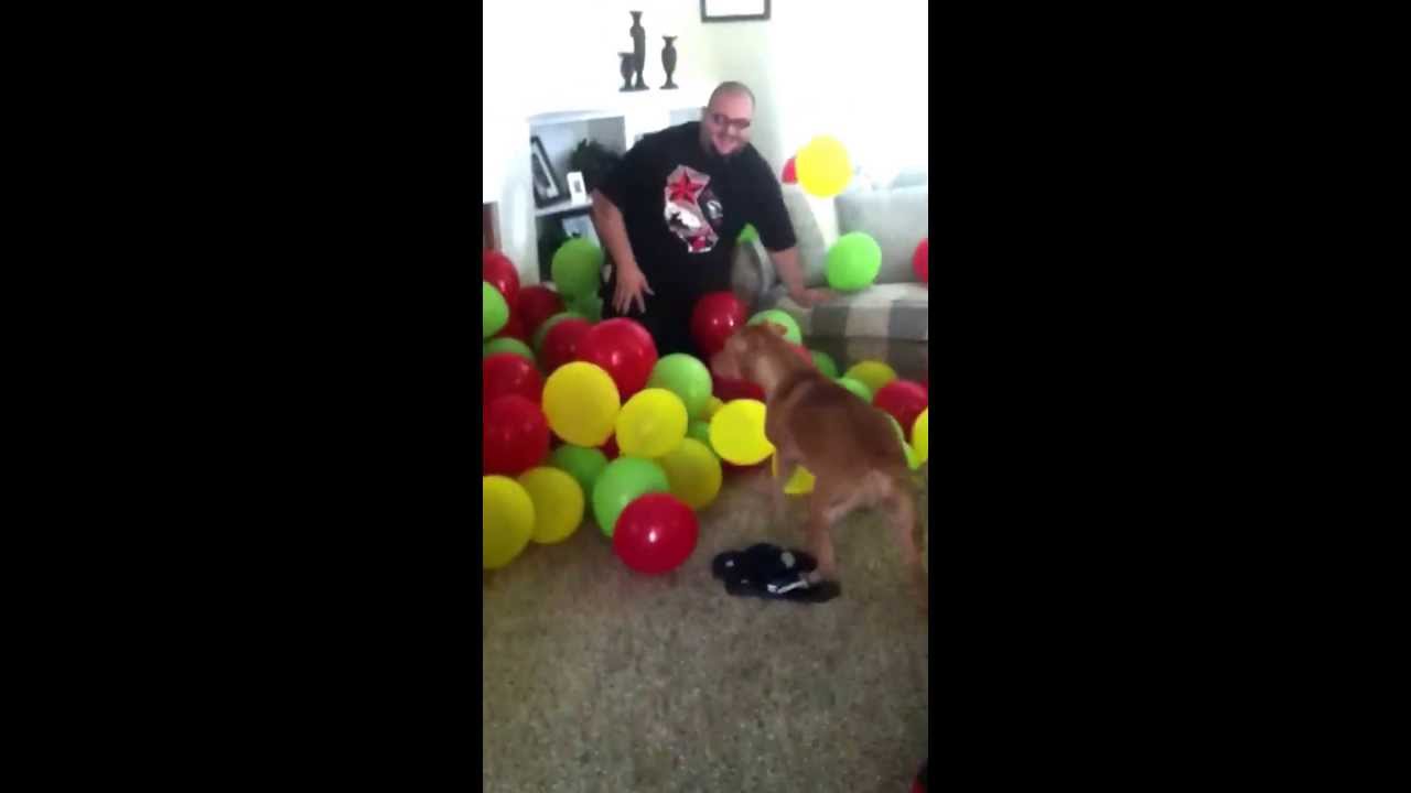 Pitbull balloon scare YouTube