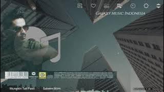 Mungkin Tak Pasti     -     Saleem Iklim